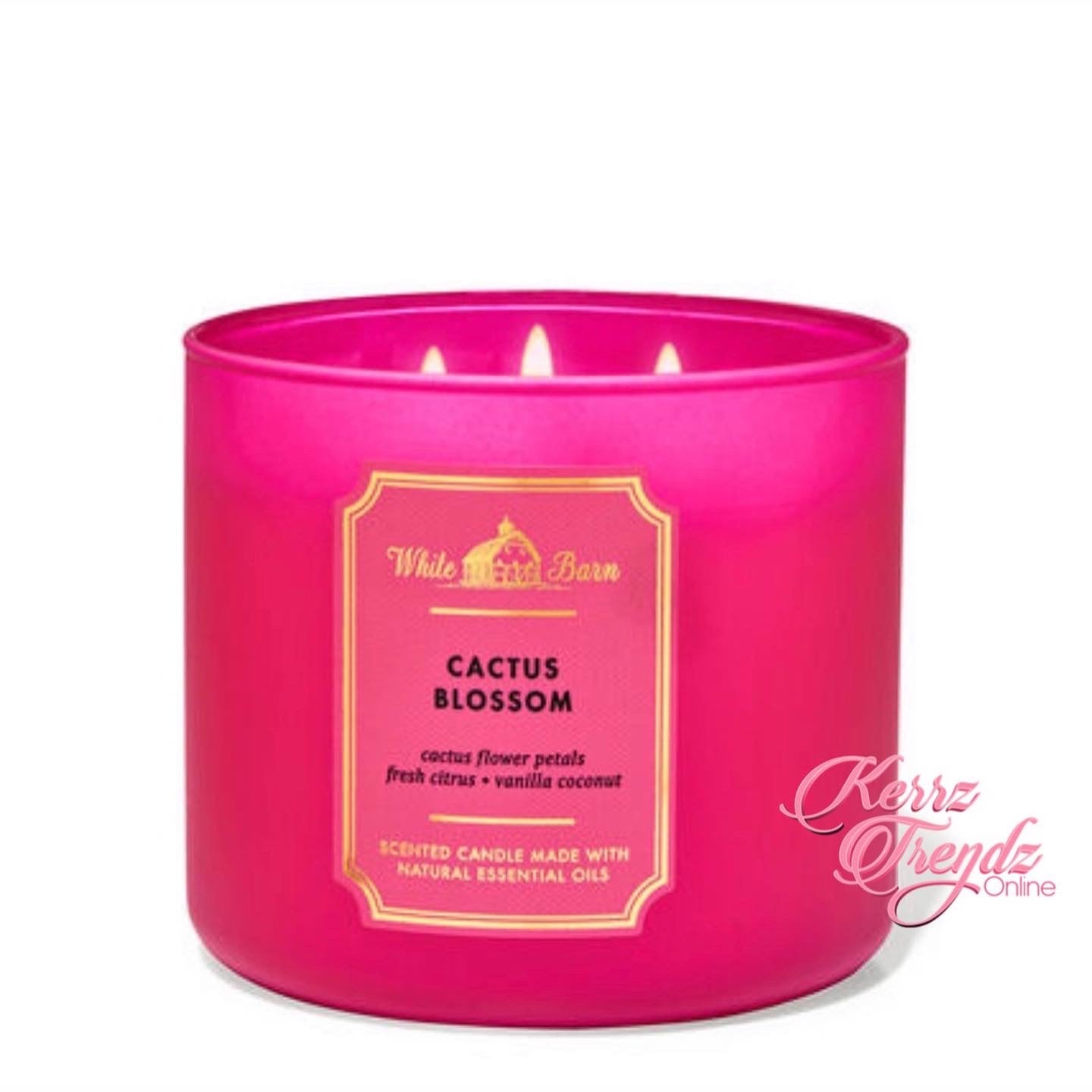 Cactus Blossom 3-Wick Candle